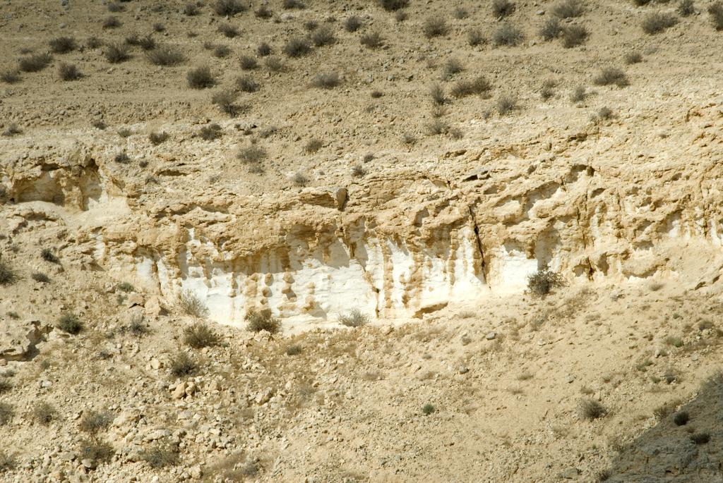 Vila Negev Camel Ranch Dimona Exteriér fotografie
