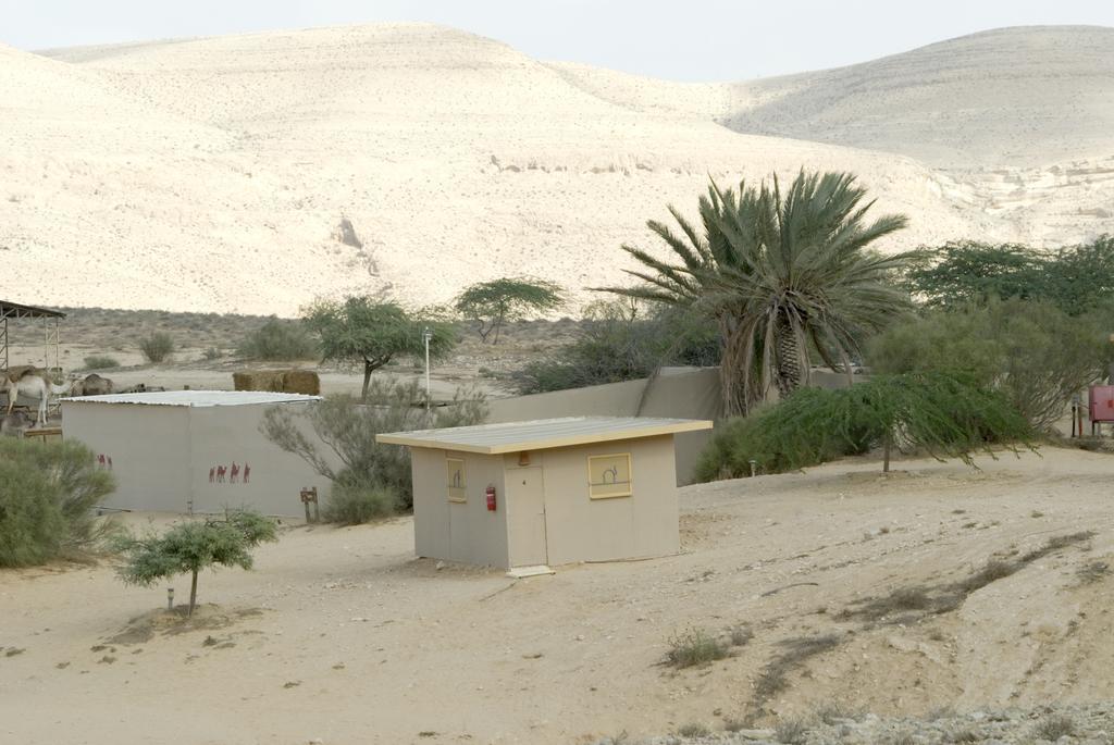Vila Negev Camel Ranch Dimona Exteriér fotografie