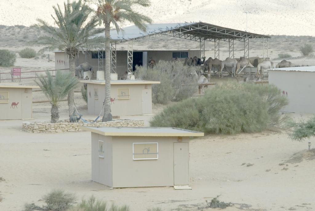 Vila Negev Camel Ranch Dimona Exteriér fotografie