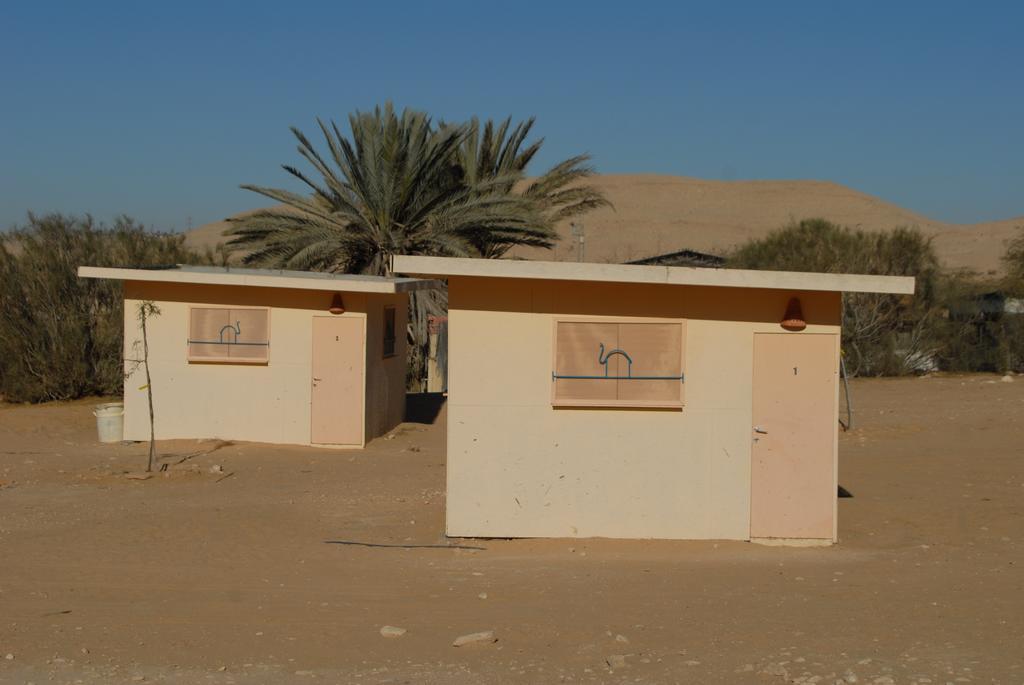 Vila Negev Camel Ranch Dimona Exteriér fotografie