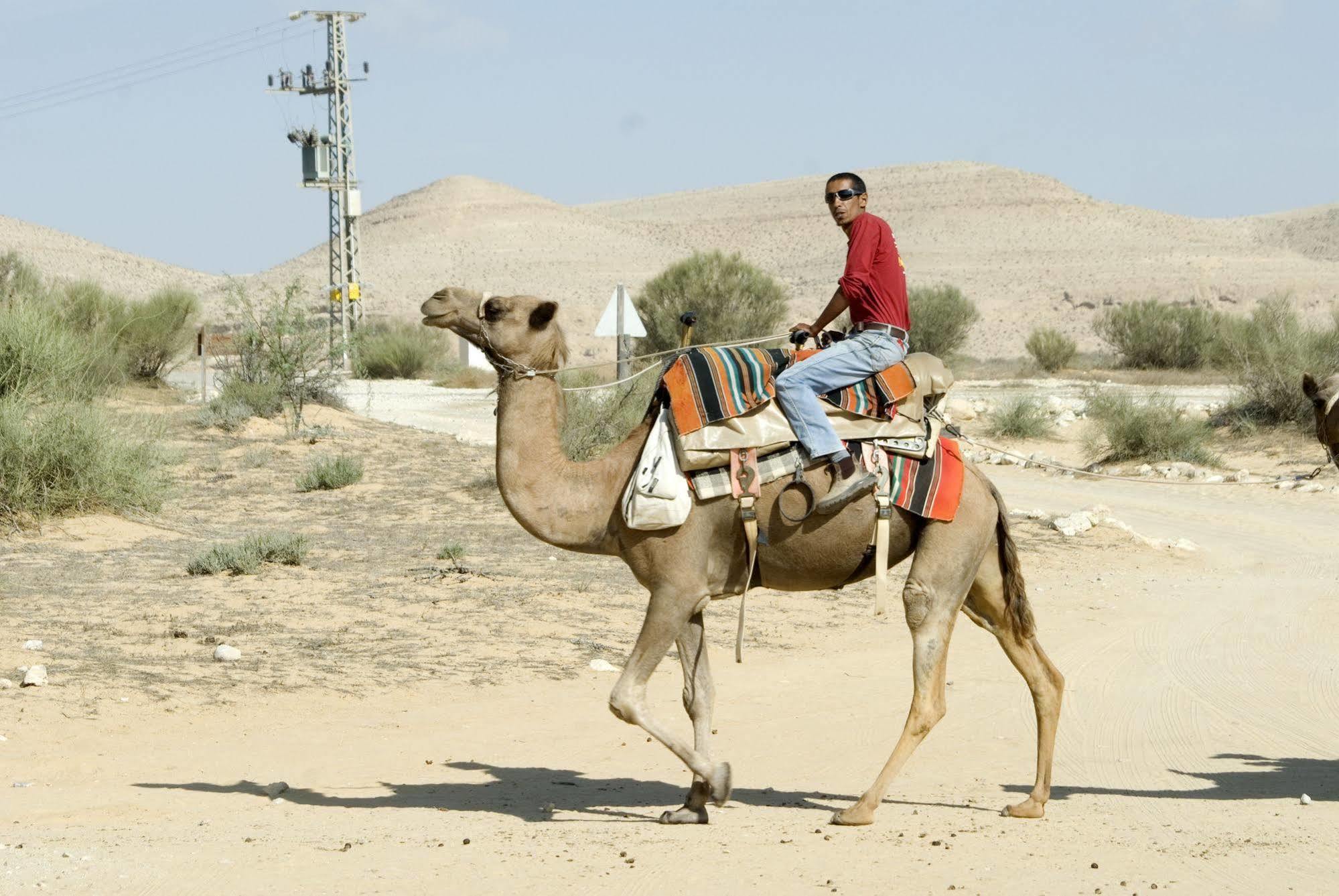 Vila Negev Camel Ranch Dimona Exteriér fotografie