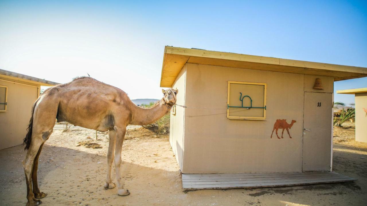 Vila Negev Camel Ranch Dimona Exteriér fotografie