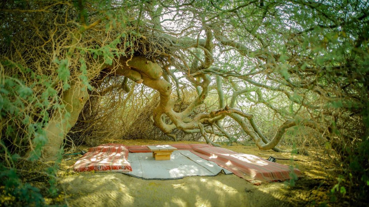 Vila Negev Camel Ranch Dimona Exteriér fotografie