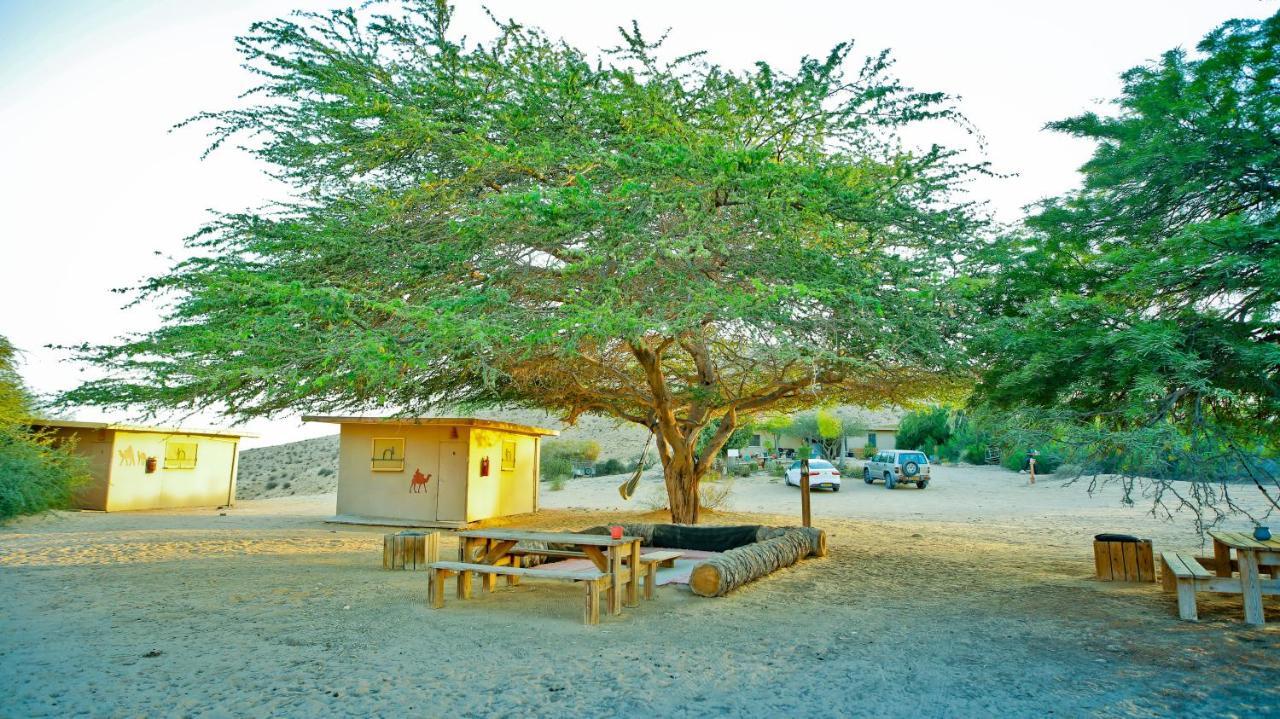 Vila Negev Camel Ranch Dimona Exteriér fotografie